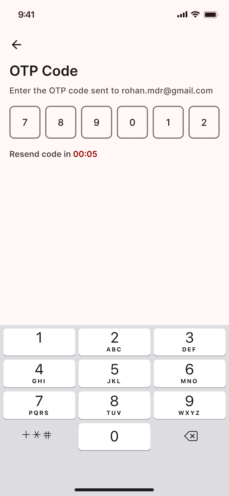 Japan Remit app screen — Confirm the code